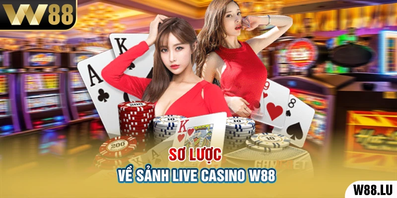 Sơ lược về sảnh Live Casino W88